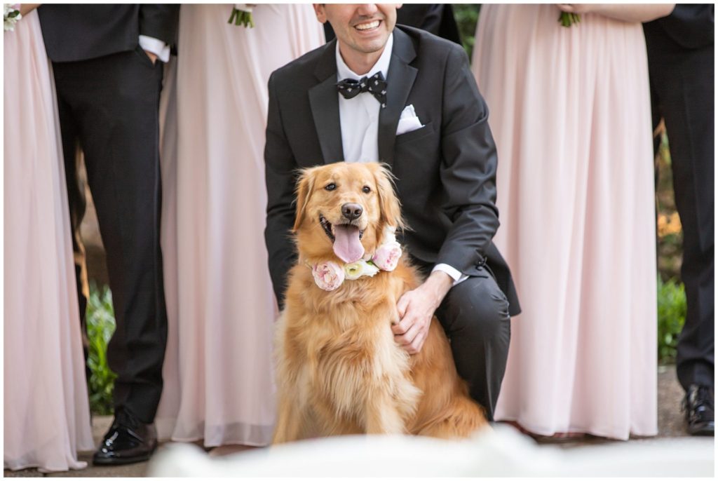 Golden retriever flower dog at wedding ceremony at Riverwood Mansion, photo by top Nashville wedding photographer, Melanie Dunn